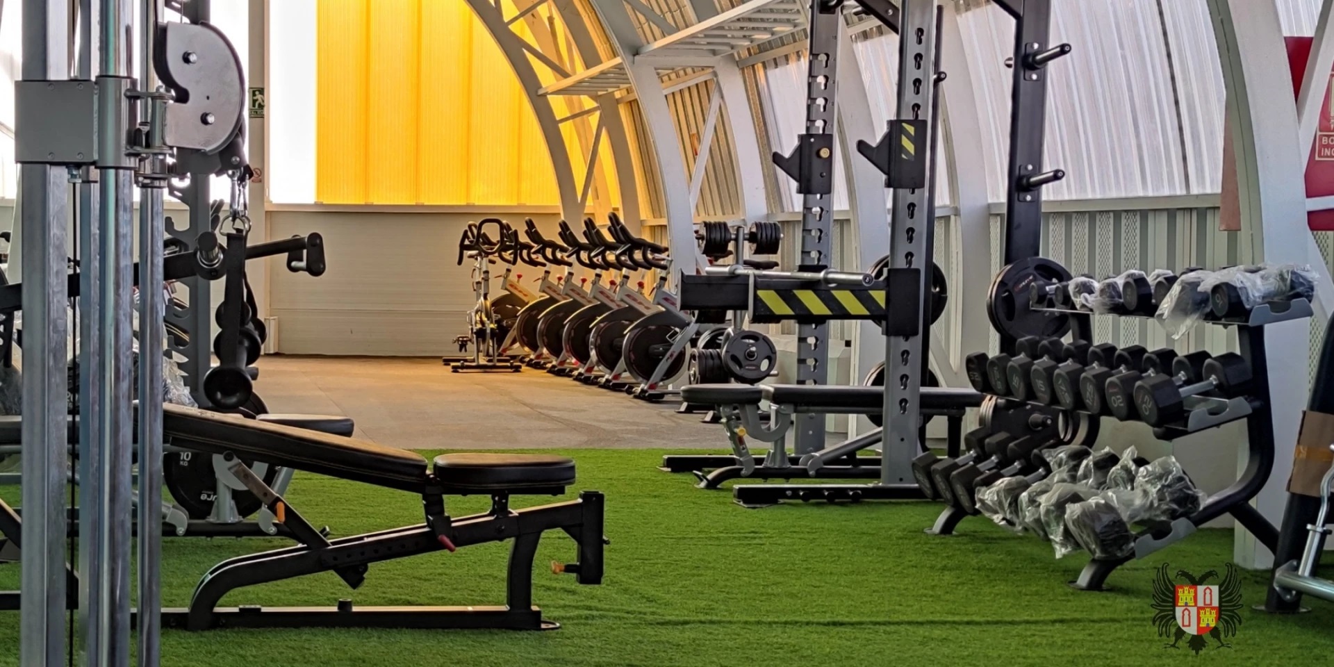 Gimnasio